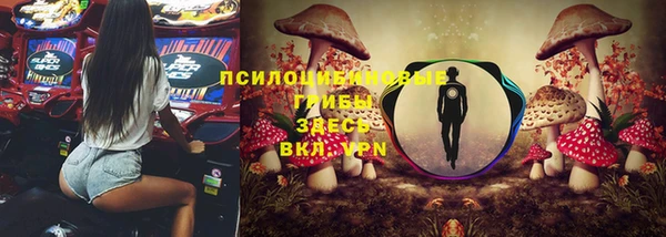 ГАЛЛЮЦИНОГЕННЫЕ ГРИБЫ Абаза
