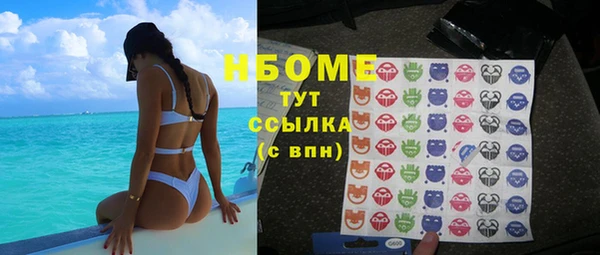 ГАЛЛЮЦИНОГЕННЫЕ ГРИБЫ Абаза