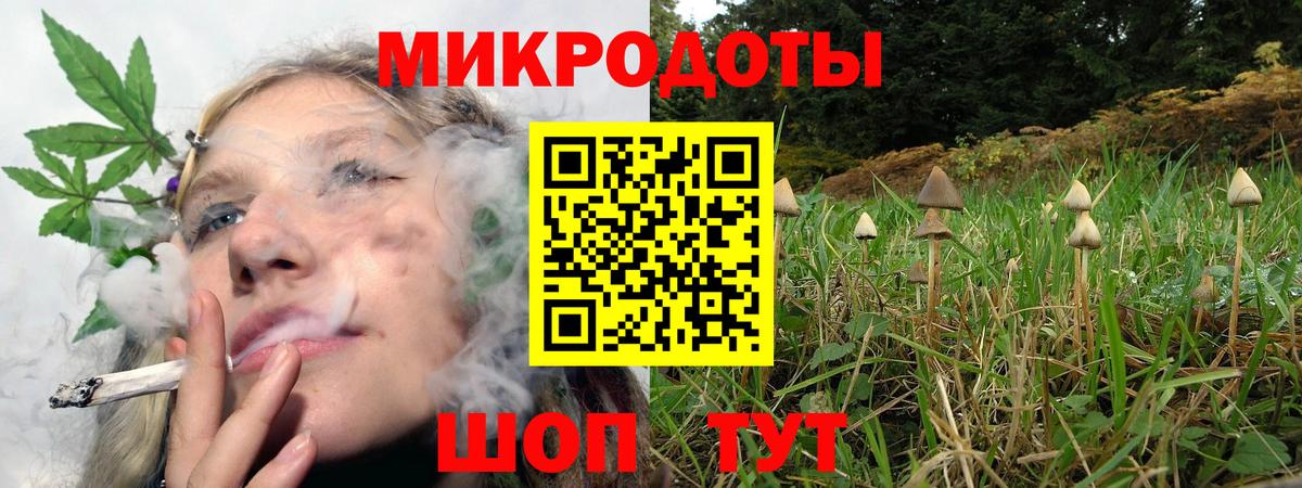 Псилоцибиновые грибы Psilocybe Абинск
